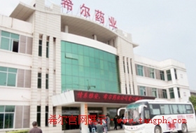 希尔药业文化活动.jpg