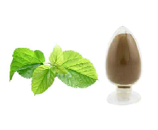 1762502184461224.png 桑叶提取物.png