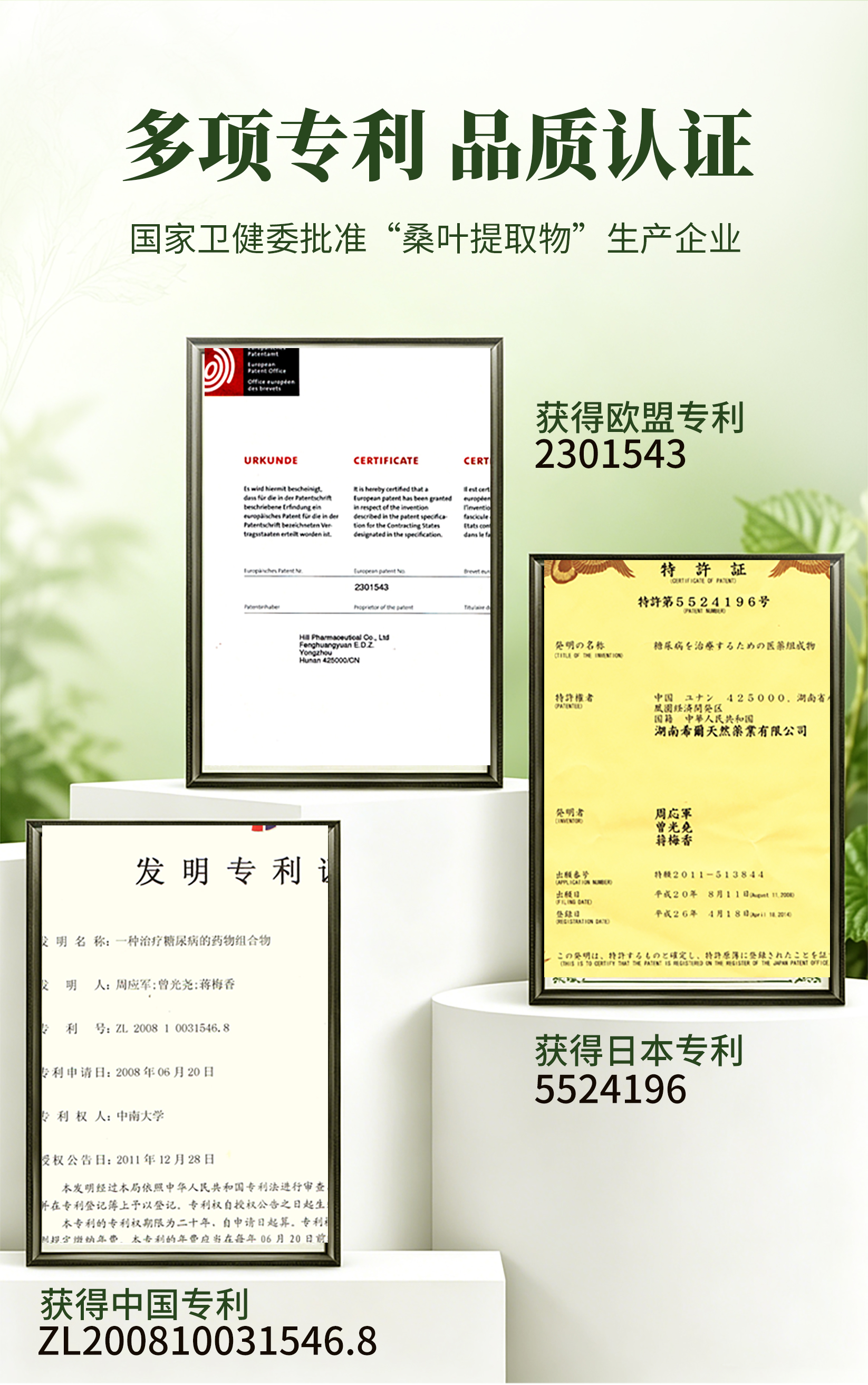 伊能®臻萃桑荞复配营养粉