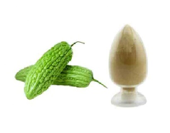 苦瓜提取物-苦瓜总皂甙≥1.5%