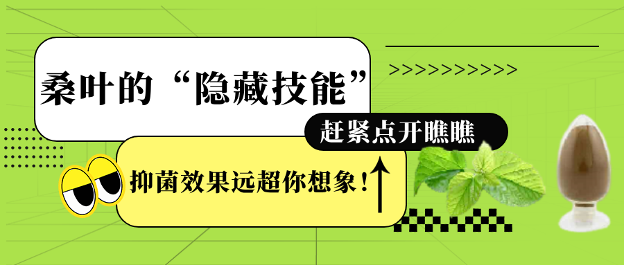 桑叶：一种具有开发潜力的天然抑菌资源